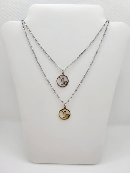 Stainless steel Zodiac Necklaces Capricorn ♑️